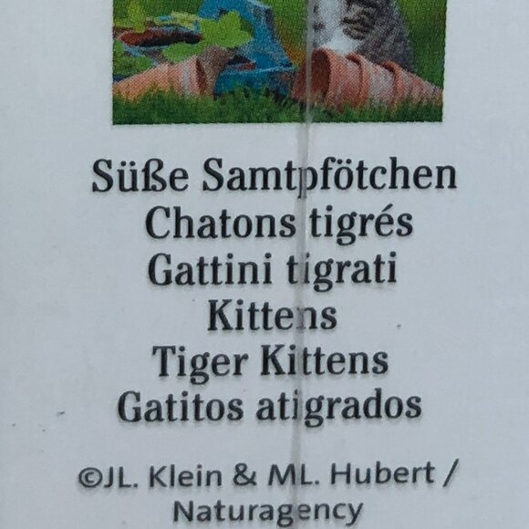 New sealed Ravensburger-3x49 Piece Puzzle - Kittens (cats) - Picture 14 of 16